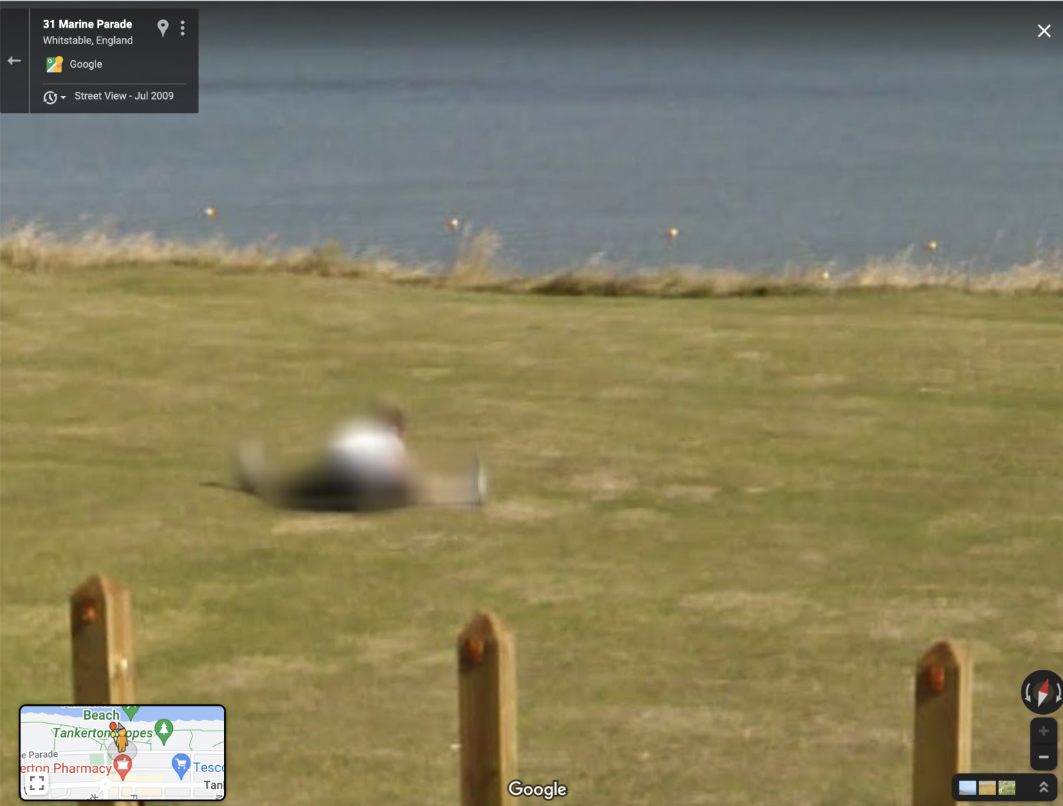 Weird And Funny Images Caught On Google Maps Street View Journo Travel Journal