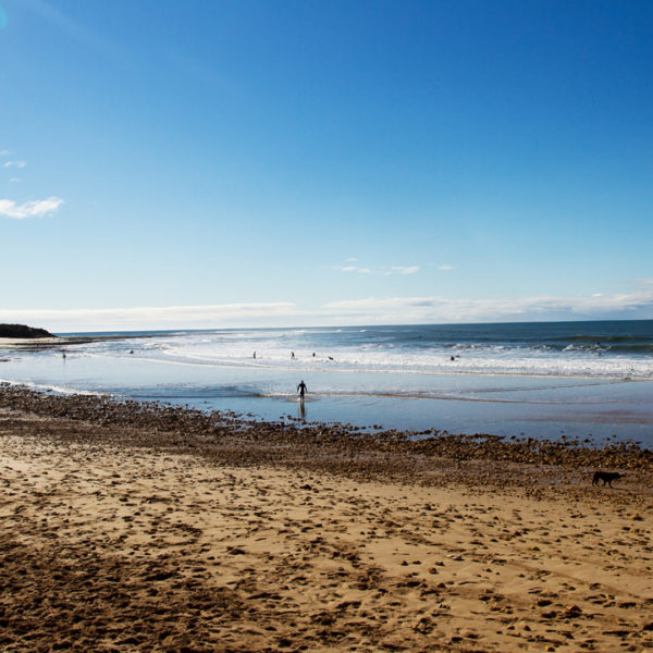 7 Tips To Make Your Great Ocean Road Tour Amazing | Journo Travel Journal