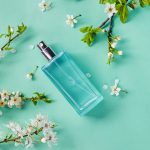 The Role Of Clean Scent Perfume In Making Friends While Traveling