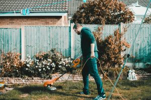 A Guide to Caring for Your Lawn and Garden in Your Absence